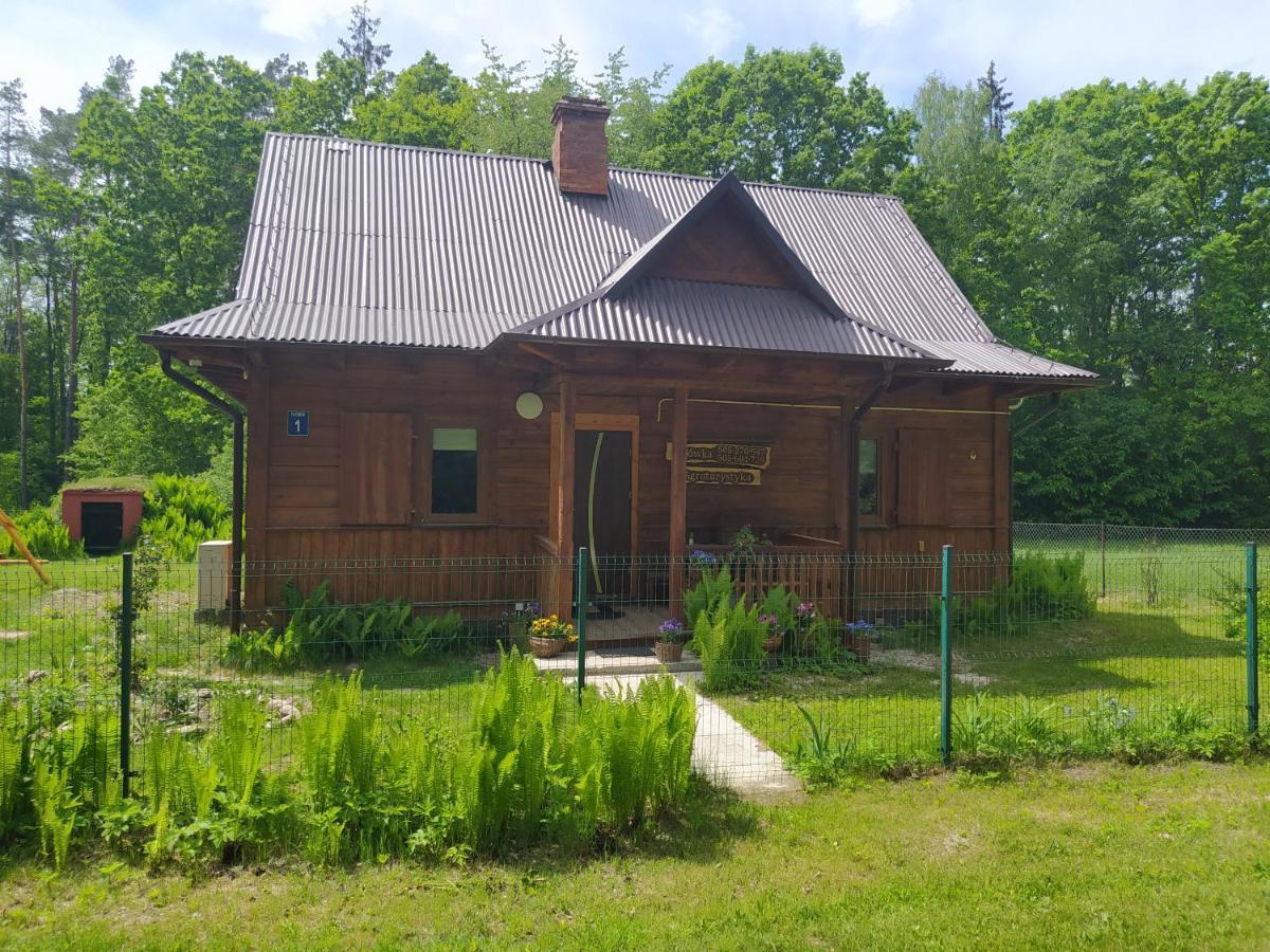 Villa Gajowka Zlobek Zlobek  Exterior foto