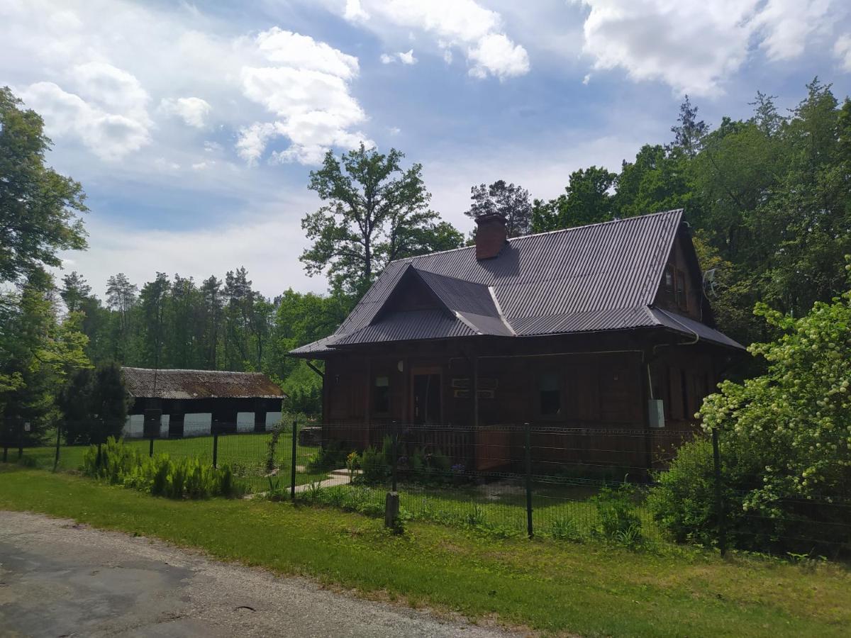 Villa Gajowka Zlobek Zlobek  Exterior foto